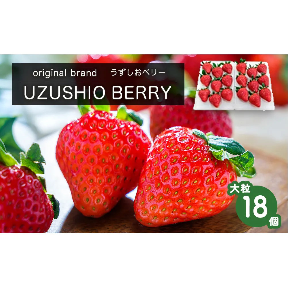 【朝摘みをお届け!】【2025年12月中旬頃より順次発送】 フルーツガーデンやまがたのいちご「うずしおベリー」大粒18個 【数量限定】 いちご フルーツ 果物 苺 イチゴ 旬の果物 鳴門のいちご