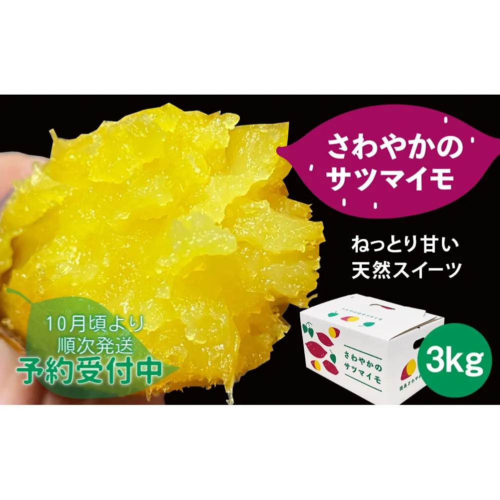 【予約受付中・2025年10月頃より順次発送】さわやかのサツマイモ　3kg　鳴門　サツマイモ　ねっとり　甘い　天ぷら　スイーツ　焼き芋　さつまいも　さつまいも　さつまいも