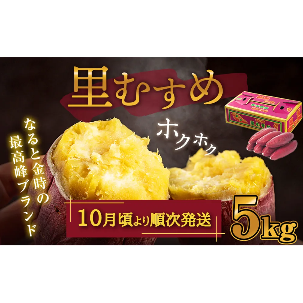 【 予約受付中・2025年10月頃より順次発送 】さつまいも なると金時（里むすめ）5kg 鳴門金時 箱入り さつまいもさつまいもさつまいもさつまいも