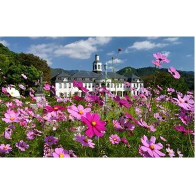 鳴門市ドイツ館・賀川豊彦記念館見学 大人2名分　チケット　鳴門　歴史　ドイツ館　記念館　観光　観光　観光