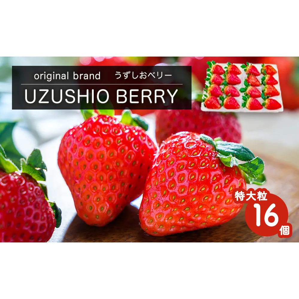 【朝摘みをお届け！】【2025年12月中旬頃より順次発送】 フルーツガーデンやまがたのいちご「うずしおベリー」特大粒16個 【数量限定】 いちご フルーツ 果物 苺 イチゴ 旬の果物 季節の果物 鳴門の果物 季節のフルーツ 旬のフルーツ 鳴門のフルーツ 旬のいちご 鳴門のいちご