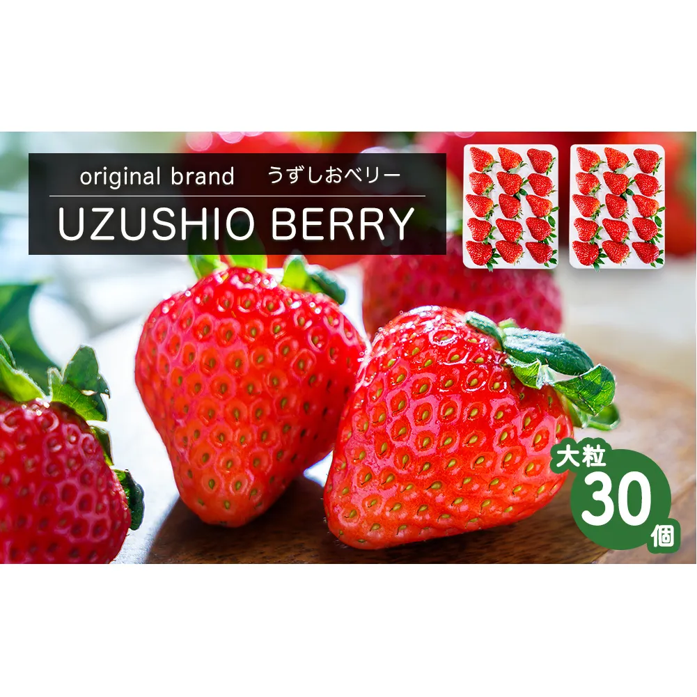 【朝摘みをお届け!】【2025年12月中旬頃より順次発送】 フルーツガーデンやまがたのいちご「うずしおベリー」大粒30個 【数量限定】 いちご フルーツ 果物 苺 イチゴ 旬の果物 鳴門のいちご