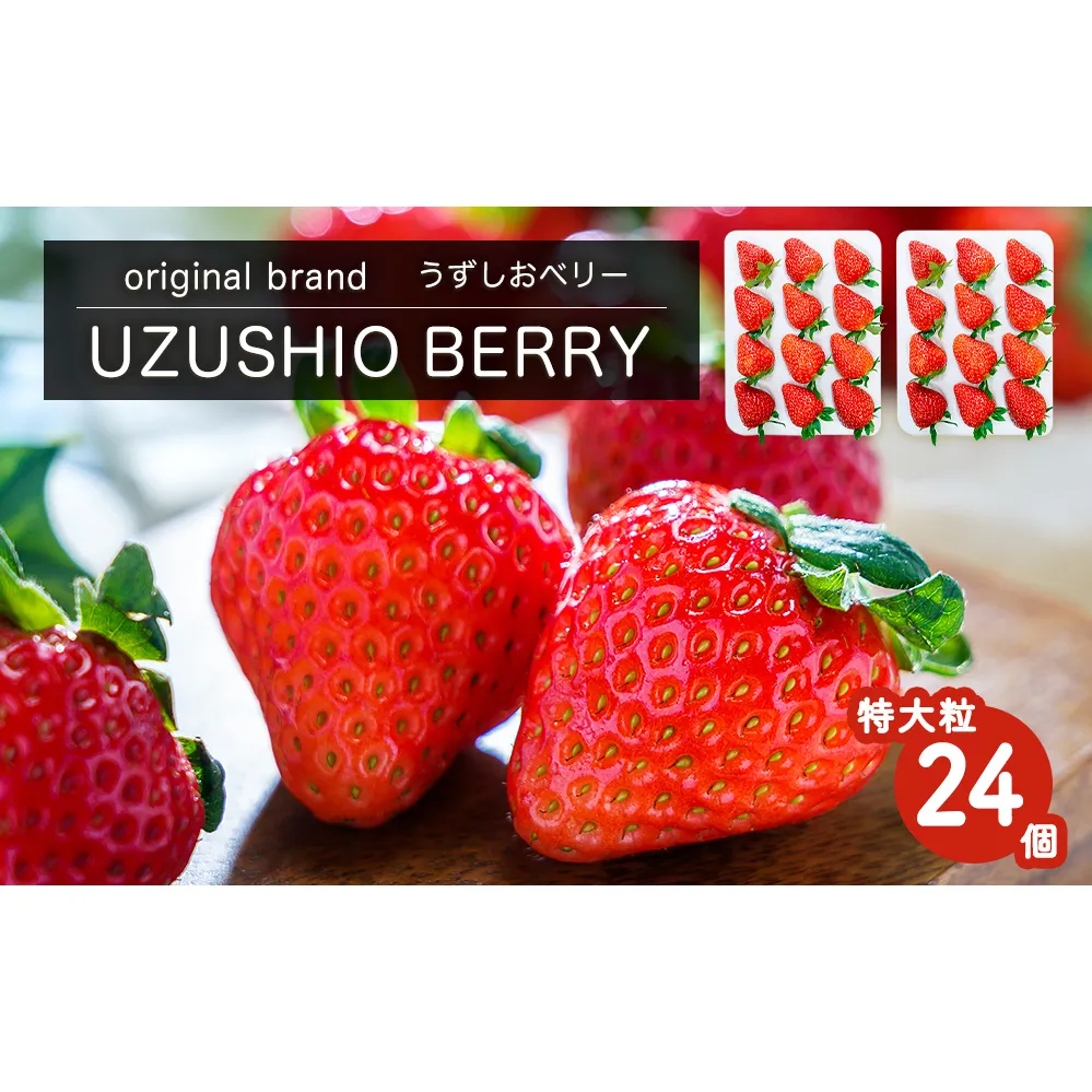【朝摘みをお届け！】【2025年12月中旬頃より順次発送】 フルーツガーデンやまがたのいちご「うずしおベリー」特大粒24個  【数量限定】 いちご フルーツ 果物 苺 イチゴ 旬の果物 季節の果物 鳴門の果物 季節のフルーツ 旬のフルーツ 鳴門のフルーツ 旬のいちご 鳴門のいちご