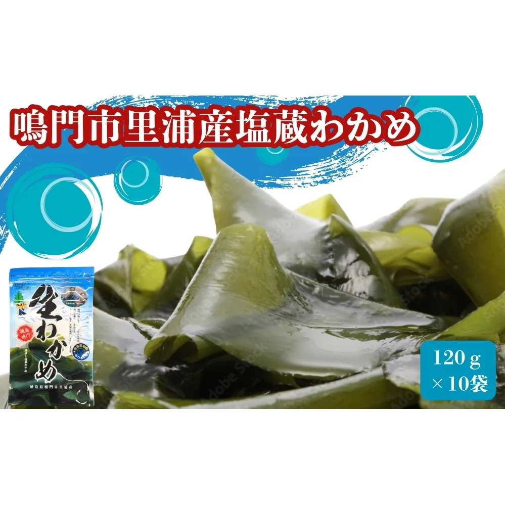 鳴門市里浦産塩蔵わかめ 120g×10袋 鳴門わかめ 小袋 冷蔵 酢の物 味噌汁 サラダ カット 敬老の日 ワカメ
