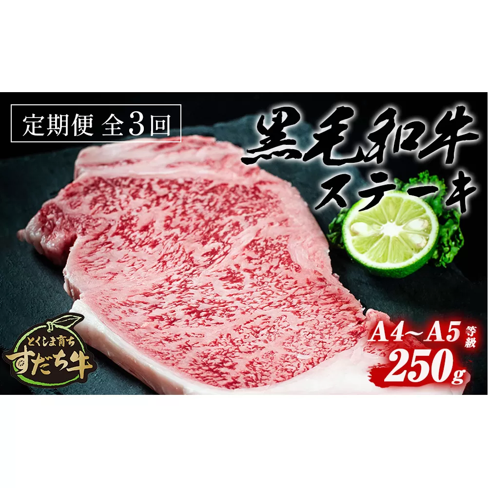 定期便 3回お届け すだち牛黒毛和牛（ステーキ用）250g