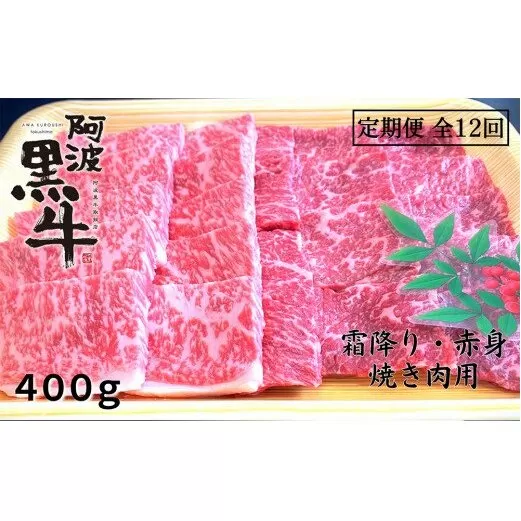 定期便12回 阿波黒牛 霜降り 赤身（焼き肉用）400g 