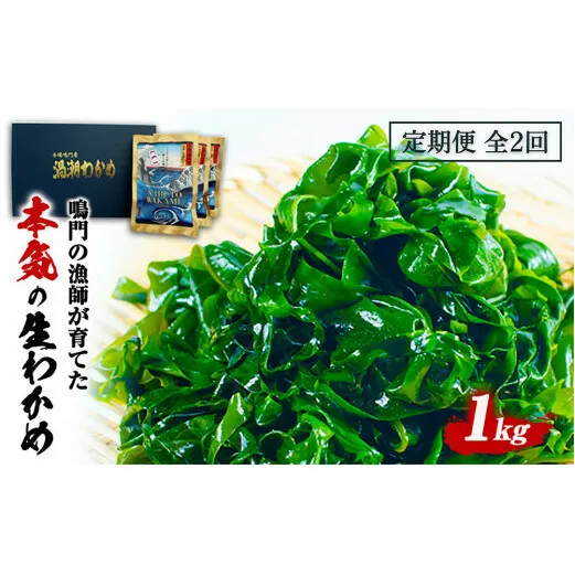 定期便 2回 お届け 生わかめ 1kg （100g×10袋）
