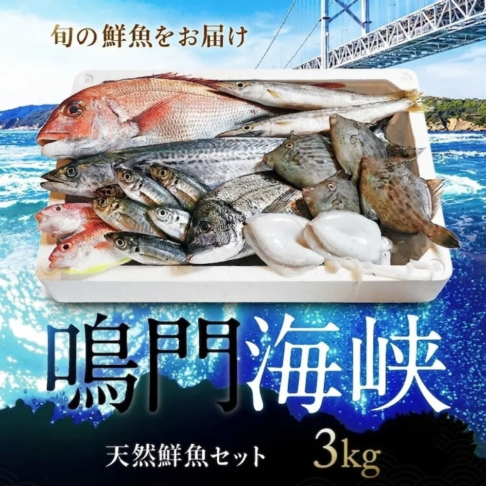 鳴門海峡冷凍鮮魚セット 3kg （ 4～5種 ）鳴門海峡 鮮魚 冷凍 旬の魚 鳴門わかめ 詰め合わせ セット 魚