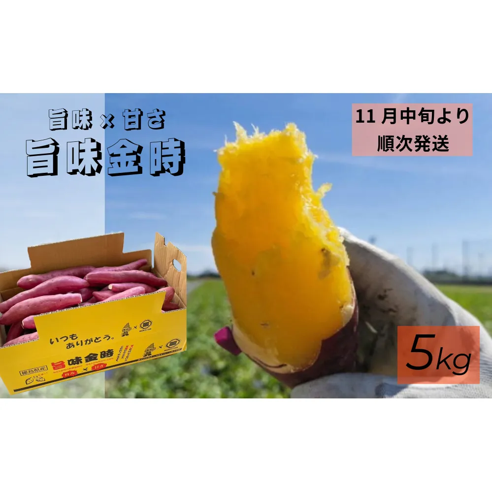 【予約受付中・2025年11月中旬頃より順次発送】鳴門市大津産　旨味金時 5kg