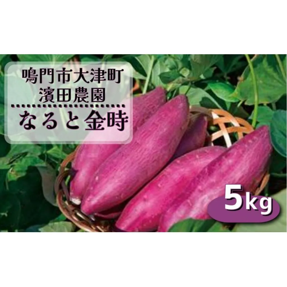 【濱田農園】 なると金時 (訳あり)  サイズ混合5kg | 訳あり さつまいも サツマイモ ご飯 天ぷら なると金時 ホクホク