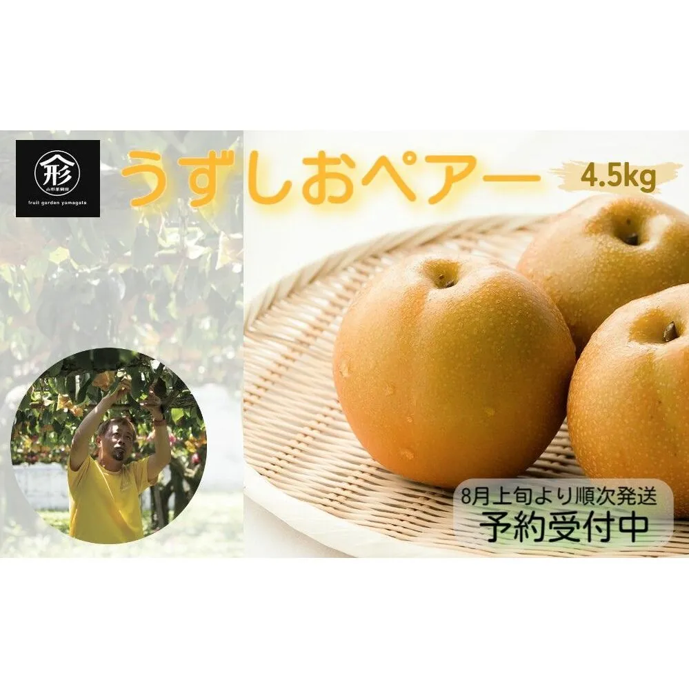 【 予約受付中・2025年8月上旬頃より順次発送 】うずしおペアー 4.5kg 国産梨 フルーツ 甘い 幸水 豊水 新高 梨 梨 梨