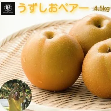 【 予約受付中・2026年8月中旬頃より順次発送 】うずしおペアー 4.5kg 国産梨 フルーツ 甘い 幸水 豊水 新高 梨 ナシ