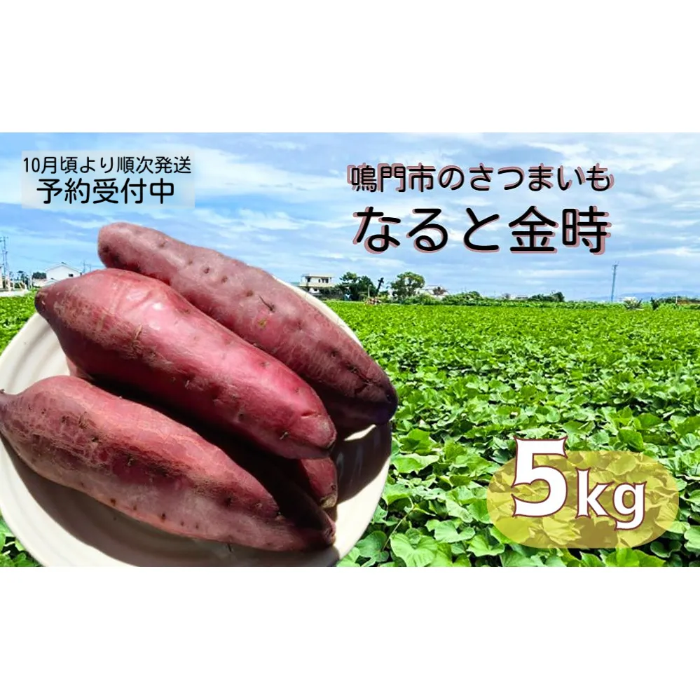 【予約受付中・2025年10月頃より順次発送】本場・徳島県鳴門市産「 なると金時 」約5kg【数量限定】 鳴門金時 ほくほく 甘い 熟成 国産 産地直送 スイーツ おやつ 天ぷら 干し芋 ギフト