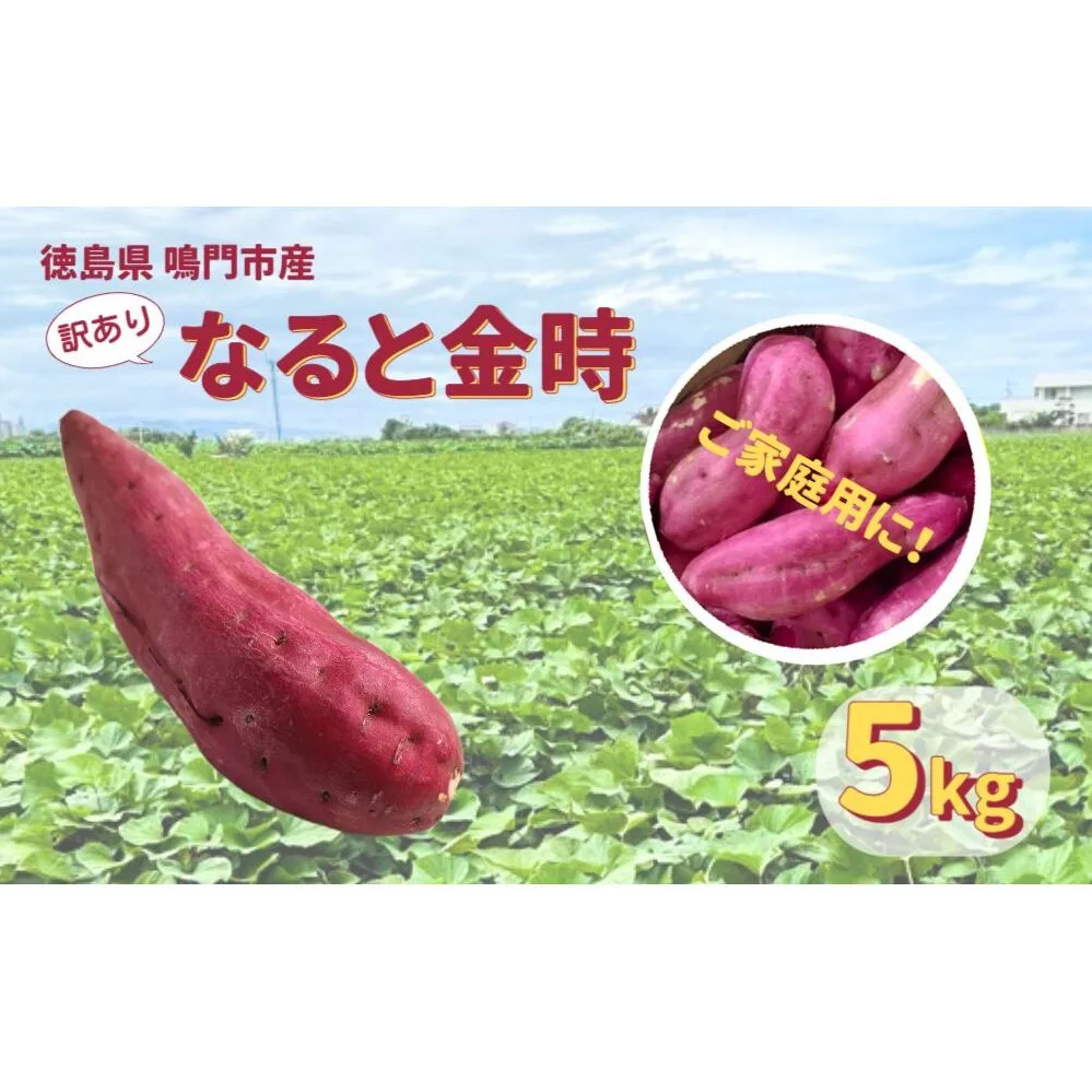 本場・徳島県鳴門市産「ご家庭用（訳あり） なると金時 」約5kg【数量限定】 鳴門金時 ほくほく 甘い  国産 産地直送 スイーツ おやつ 天ぷら 干し芋 ギフト