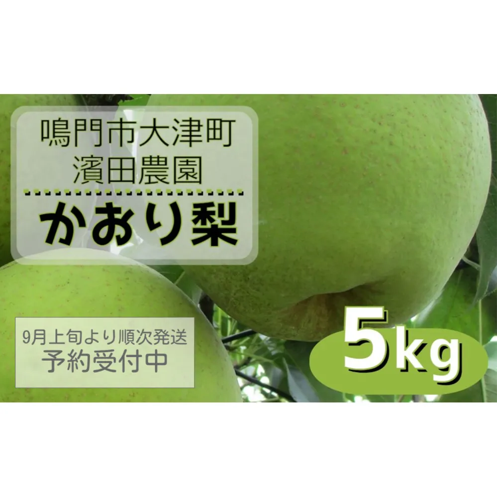 【濱田農園】 かおり梨 約5kg 【数量限定】【予約受付中・9月上旬より順次発送】 フルーツ 果物 梨 ナシ 旬の梨 秋の梨 旬のフルーツ 秋のフルーツ 鳴門の梨 徳島県産 フルーツ 果物 幻の梨 旬の果物 秋の果物 和梨 香梨 新興 幸水フルーツ 梨 果物