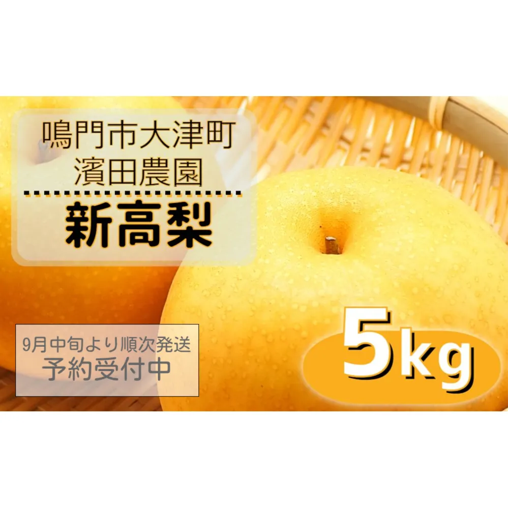 【濱田農園】 新高梨 約5kg 【数量限定】【予約受付中・9月下旬より順次発送】フルーツ 果物 梨 ナシ 完熟梨 季節の梨 旬の梨 秋の梨 鳴門の梨 完熟果物 季節の果物 旬の果物 秋の果物 鳴門の果物 完熟フルーツ 季節のフルーツ 旬のフルーツ 秋のフルーツ 鳴門のフルーツ 濱田農園の果物 濱田農園のフルーツ 梨 果物