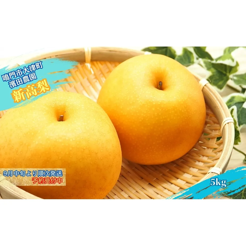 【濱田農園】 新高梨 約5kg 【数量限定】【予約受付中・9月下旬より順次発送】フルーツ 果物 梨 ナシ 完熟梨 季節の梨 旬の梨 秋の梨 鳴門の梨 完熟果物 季節の果物 旬の果物 秋の果物 鳴門の果物 完熟フルーツ 季節のフルーツ 旬のフルーツ 秋のフルーツ 鳴門のフルーツ 濱田農園の果物 濱田農園のフルーツ 梨 果物