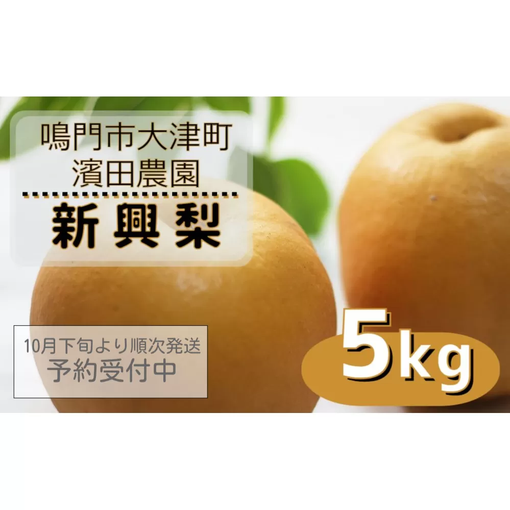 【濱田農園】 新興梨 約5kg 【数量限定】【予約受付中・10月下旬より順次発送】フルーツ 果物 梨 ナシ 完熟梨 季節の梨 旬の梨 秋の梨 鳴門の梨 完熟果物 季節の果物 旬の果物 秋の果物 鳴門の果物 完熟フルーツ 季節のフルーツ 旬のフルーツ 秋のフルーツ 鳴門のフルーツ 濱田農園の果物 濱田農園のフルーツ梨 果物 