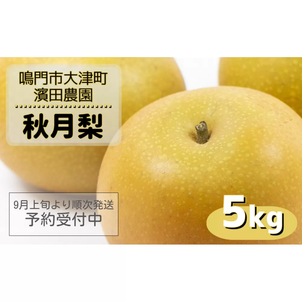【濱田農園】 秋月梨 約5kg 【数量限定】【予約受付中・9月上旬より順次発送】フルーツ 果物 梨 ナシ 旬の梨 秋の梨 旬のフルーツ 秋のフルーツ 鳴門の梨 徳島県産 フルーツ 果物 幻の梨 旬の果物 秋の果物 和梨 香梨 新興 幸水 フルーツ 梨 果物 