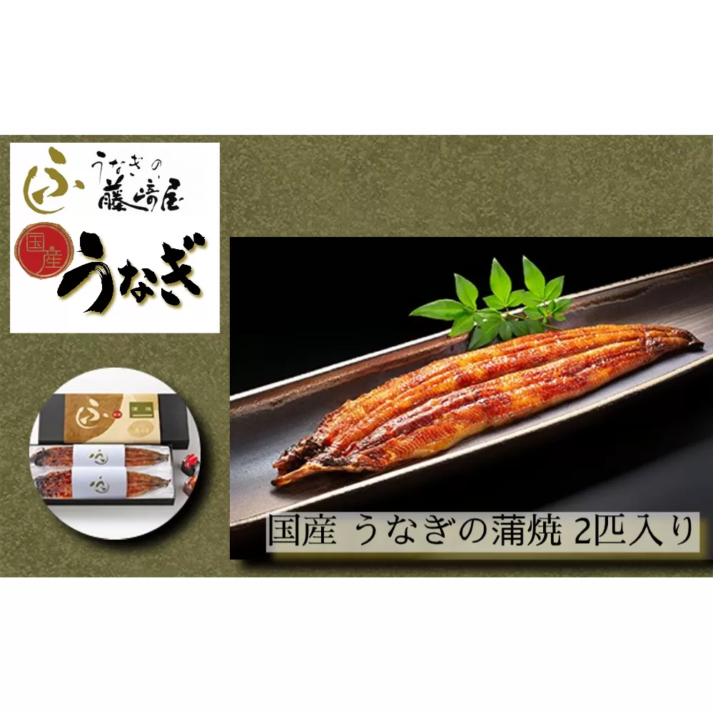 国産 うなぎの蒲焼 2匹入り [藤崎屋] | ふっくら あっさり 香ばしい タレ付 山椒付 父の日 母の日 敬老の日 うな丼 鰻丼 国産 うなぎ 鰻 蒲焼国産 うな重用 蒲焼 特上 2人前 [藤崎屋] | ふっくら あっさり 香ばしい タレ付 山椒付 父の日 母の日 敬老の日 うな丼 鰻丼 国産 うなぎ 鰻 蒲焼