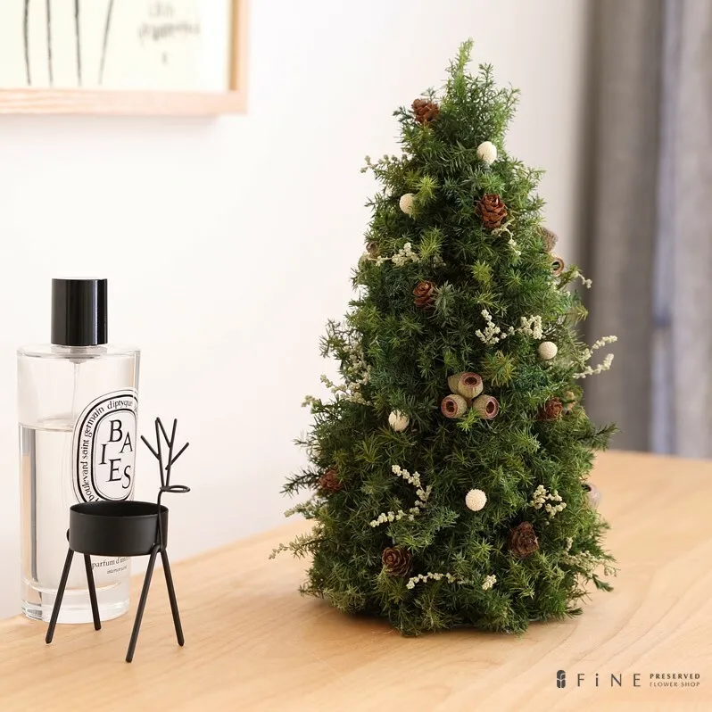 フォレストツリー【クリスマス限定！申込は11月30日まで】
