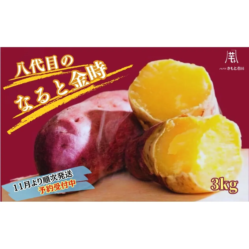 【予約受付中・2025年11月頃より順次発送】【木元農園】八代目の なると金時 約3kg  | 鳴門金時 甘い ホクホク 熟成 産地直送 スイーツ おやつ 焼きいも 天ぷら 干し芋 スイートポテト 離乳食　さつまいも