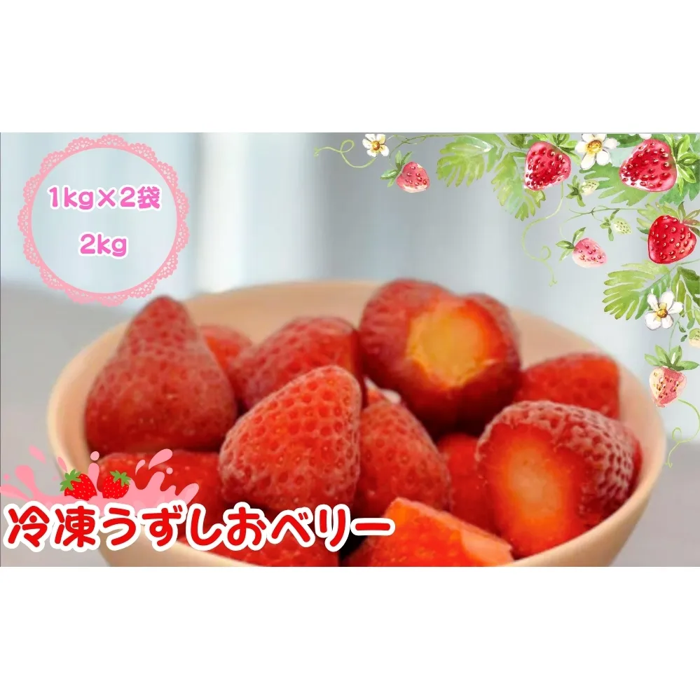 KISAI GARDEN 冷凍 うずしおベリー 2kg | 苺 いちご イチゴ 徳島 鳴門 果物 フルーツ スムージー ジャム　冷凍　いちご