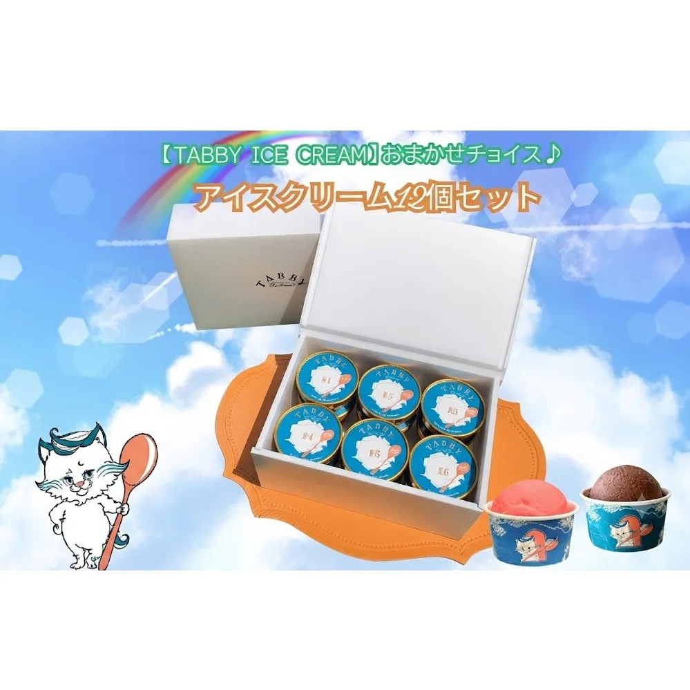 【TABBY ICE CREAM】おまかせチョイス♪ アイスクリーム 12個 セット