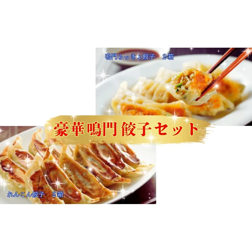 豪華鳴門餃子セット　　鳴門　らっきょう　れんこん　鳴門らっきょ　セット　蓮根　惣菜　冷凍　餃子　餃子　餃子　