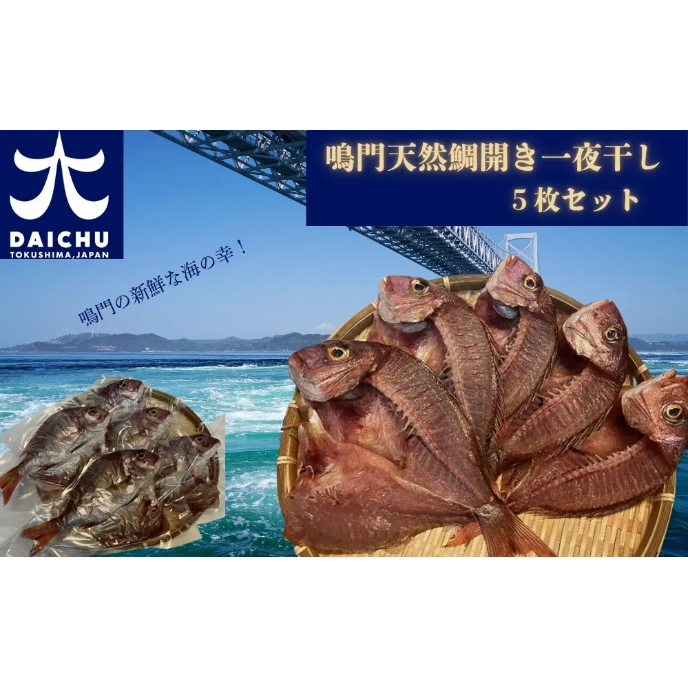 鳴門天然鯛開き一夜干し5枚セット