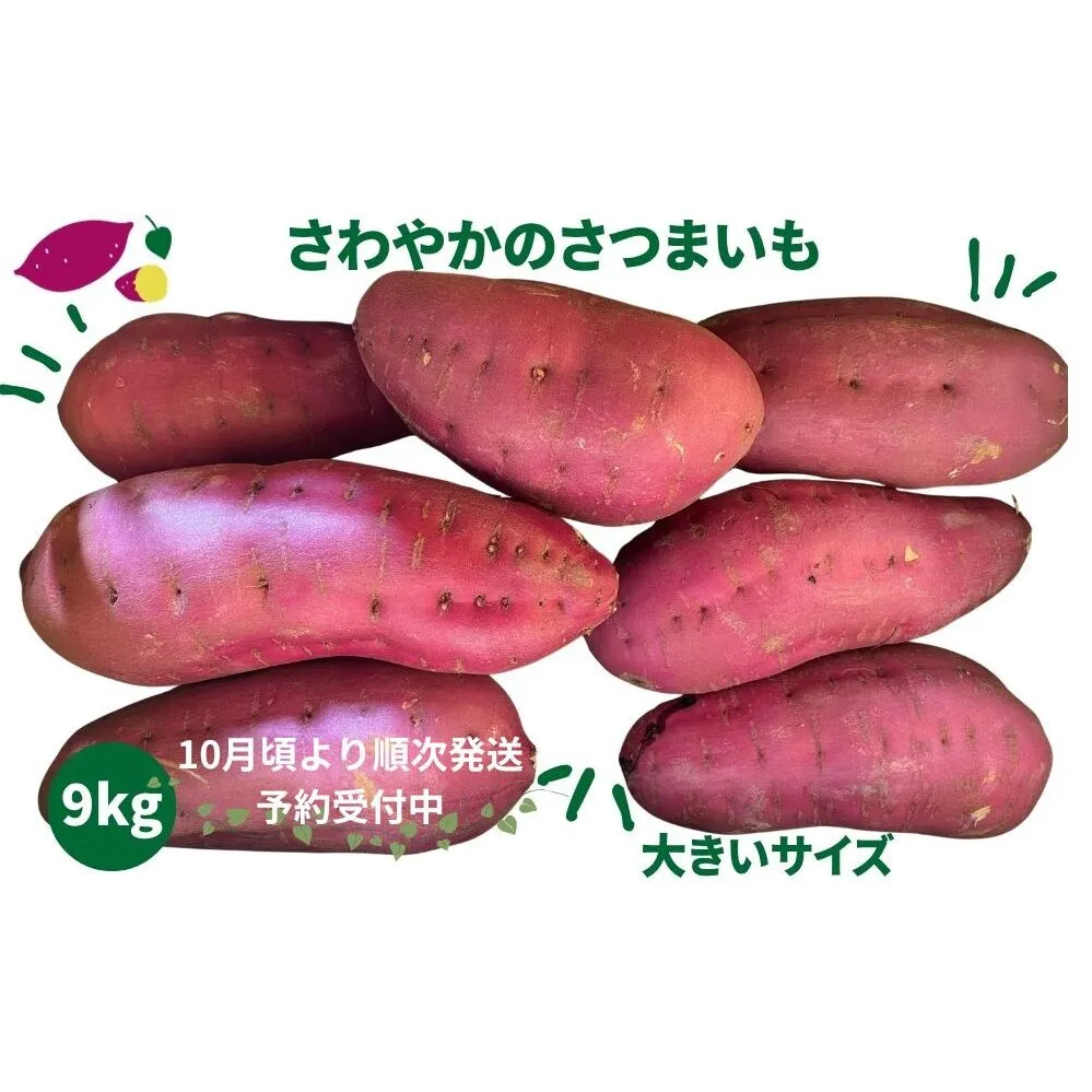 【予約受付中・2026年10月頃より順次発送】さわやかのサツマイモ 大きいサイズ 9kg 　鳴門　サツマイモ　ねっとり　甘い　天ぷら　スイーツ　焼き芋　さつまいも