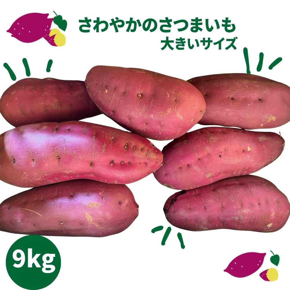 さわやかのサツマイモ 大きいサイズ 9kg 　鳴門　サツマイモ　ねっとり　甘い　天ぷら　スイーツ　焼き芋　さつまいも