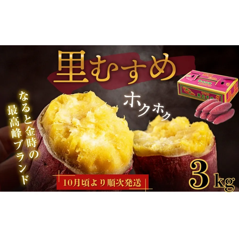 【 予約受付中・2025年9月下旬～10月頃より順次発送 】なると金時 里むすめ 3kg