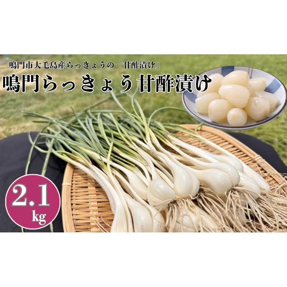 鳴門らっきょう甘酢漬け