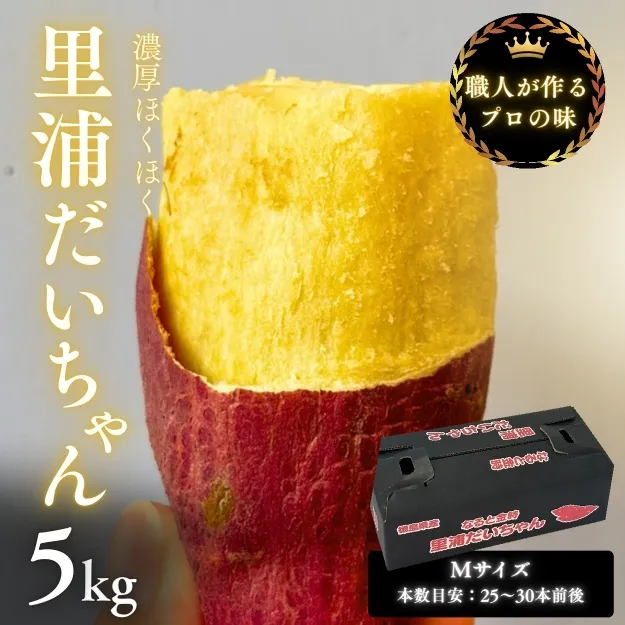 鳴門産 さつまいも 『 里浦だいちゃん 』 5kg | なると金時 甘い ホクホク スイーツ 焼き芋 干し芋 天ぷら サラダ けんぴ きんつば　さつまいも