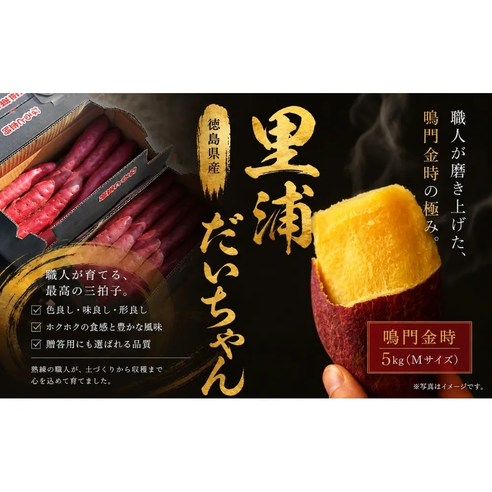 【予約受付中・2026年10月下旬頃より順次発送】鳴門産 さつまいも 『 里浦だいちゃん 』 5kg | なると金時 甘い ホクホク スイーツ 焼き芋 干し芋 天ぷら サラダ けんぴ きんつば　さつまいも