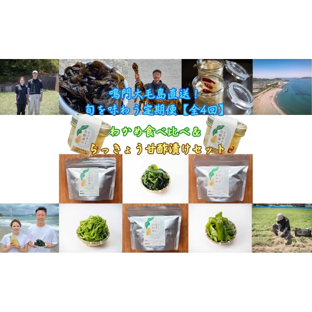 鳴門大毛島直送！【全4回定期便（1月/3月/5月/7月）】鳴門わかめ食べ比べ、らっきょう甘酢漬けセット