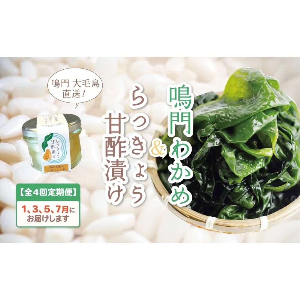 【全4回定期便】鳴門大毛島わかめ・らっきょうセット（1/3/5/7月）