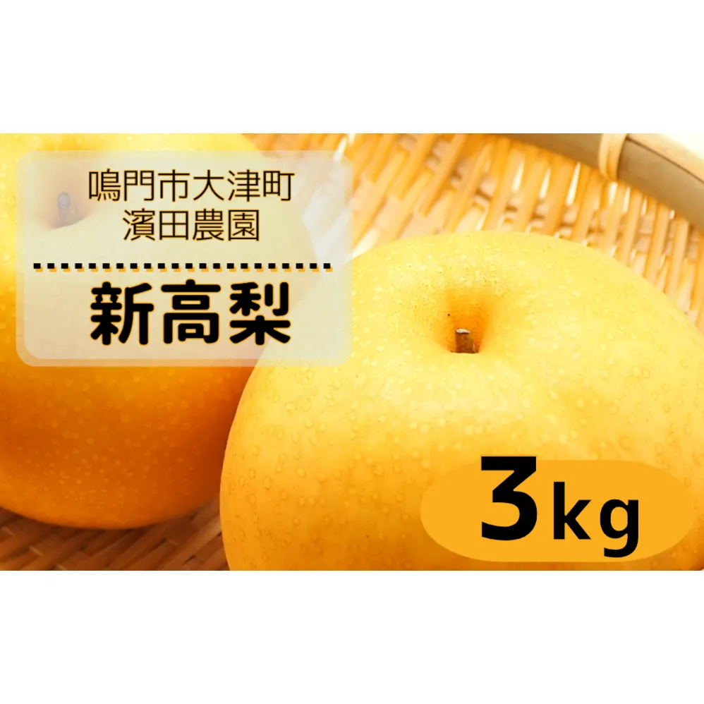 【予約受付中】【9月下旬～10月上旬より順次発送】【濱田農園】 新高梨 約3kg 【数量限定】