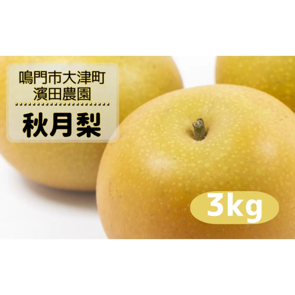 【予約受付中】【9月上旬より順次発送】 【濱田農園】 秋月梨 約3kg 【数量限定】