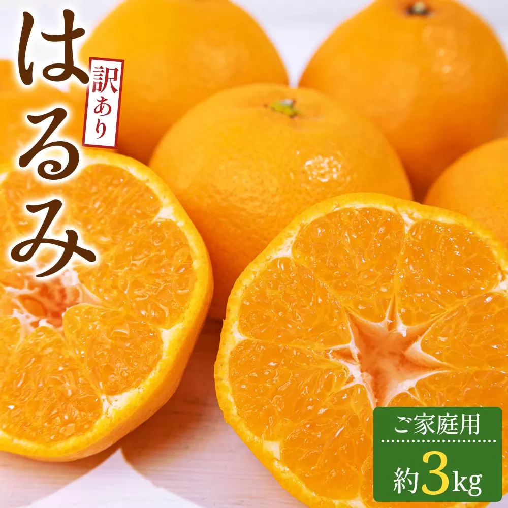 訳あり ご家庭用 はるみ 約3kg【2026-2月上旬〜2026-3月下旬配送】