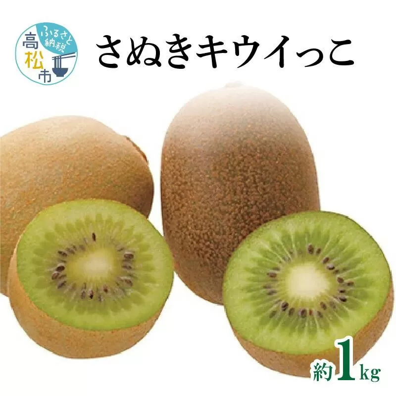 さぬきキウイっこ　約1kg【2026年10月下旬～2026年12月下旬配送】