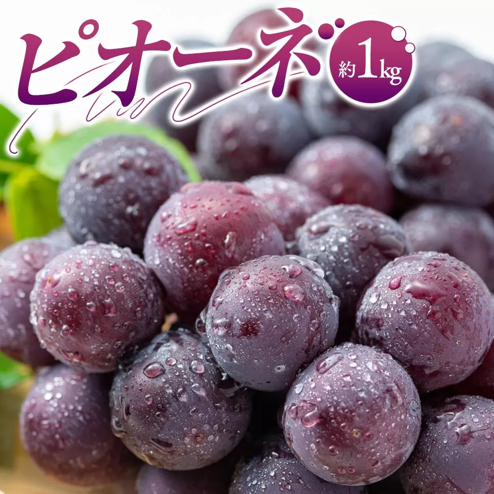 ピオーネ 約 1kg ぶどう 【2026-7月中旬~2026-9月下旬配送】