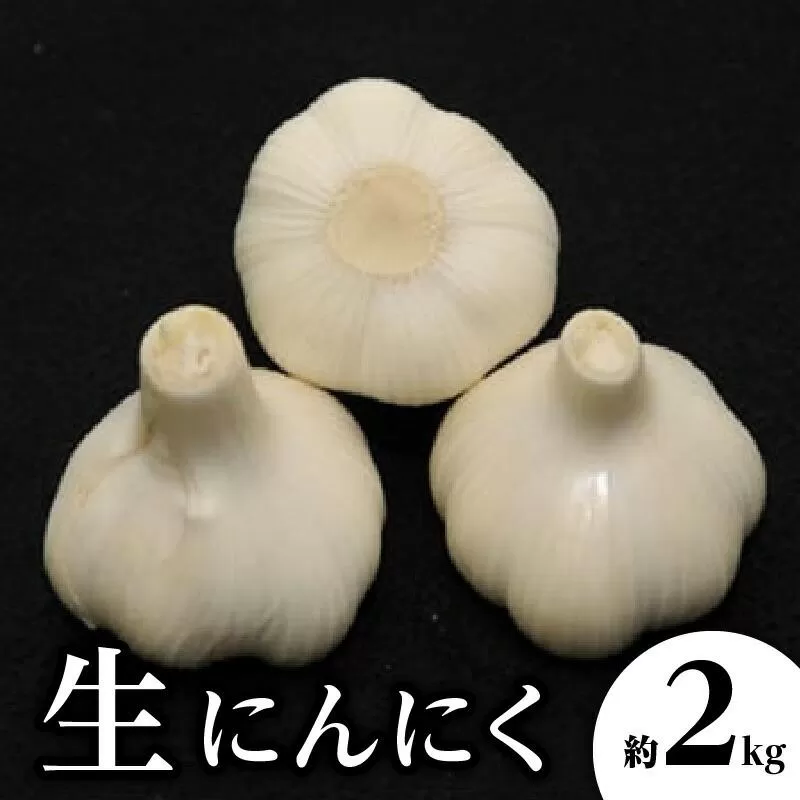 生にんにく 約2kg【2027-5月上旬~2027-6月上旬配送】