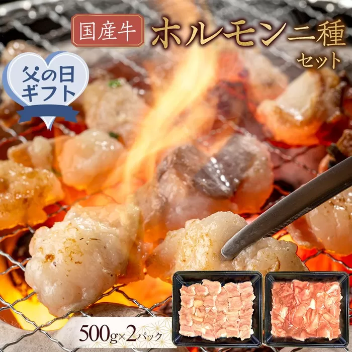 【父の日ギフト】国産牛　ホルモン二種セット1000g