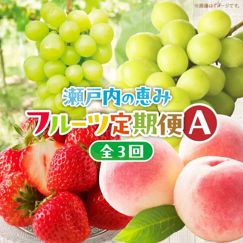 【3回お届け】高松市自慢のフルーツ定期便【A】