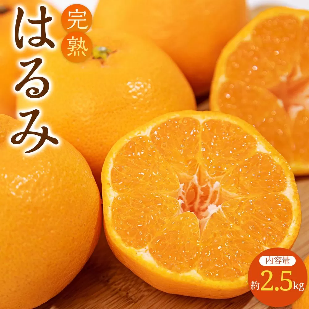 完熟 はるみ 約2.5kg【2026-2月下旬〜2026-3月下旬配送】