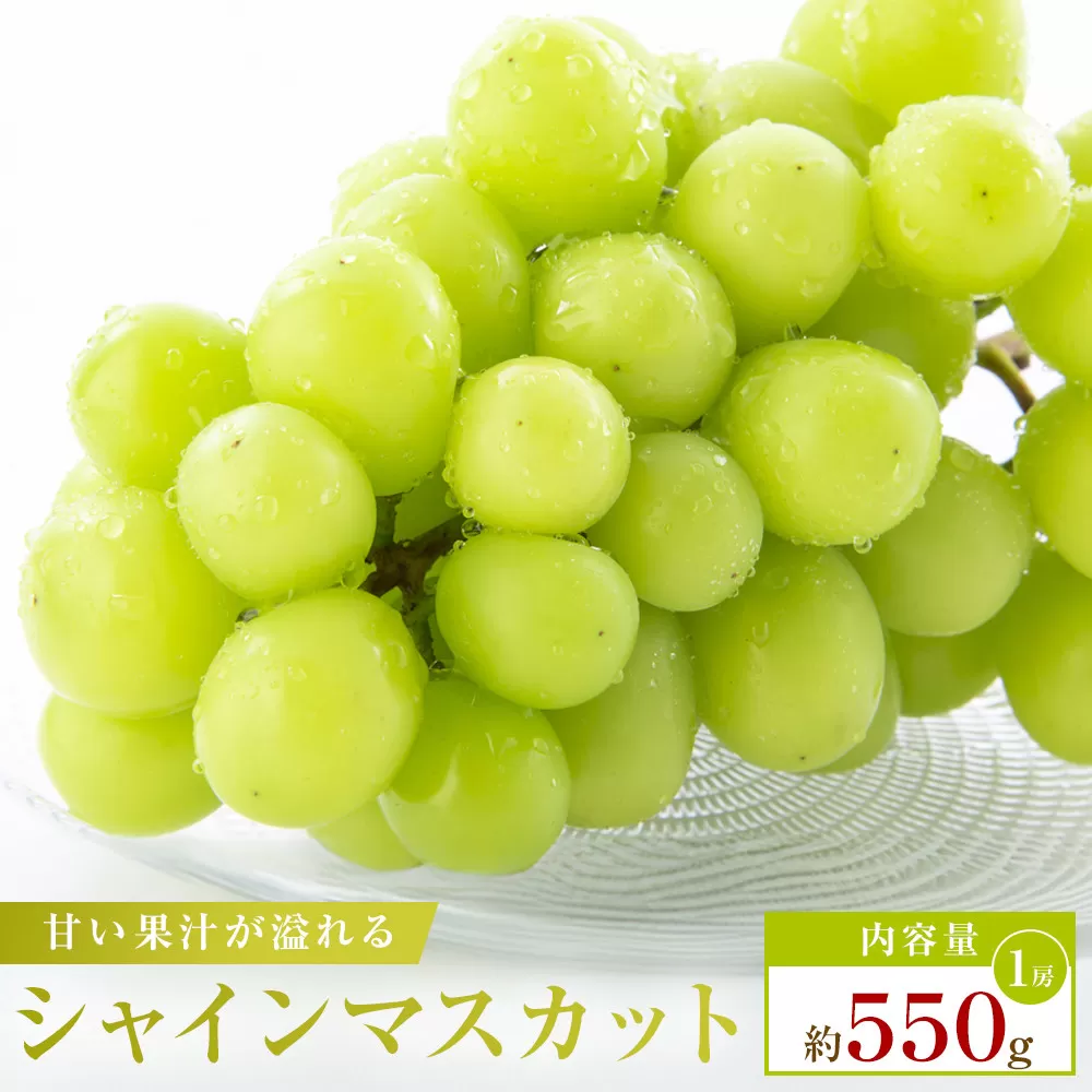 【お試し用】シャインマスカット 約550g
