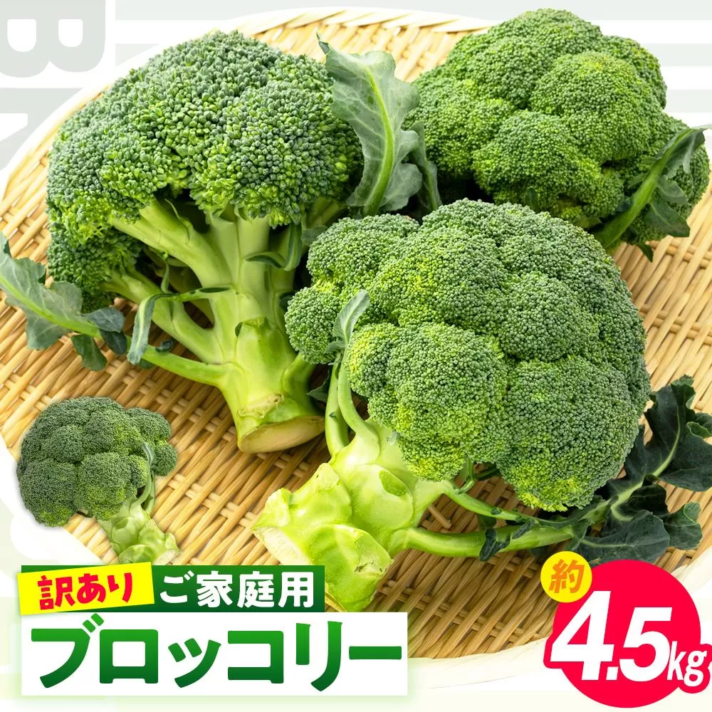 訳あり ご家庭用ブロッコリー 約4.5kg【2026-11月中旬~2027-5月下旬配送】