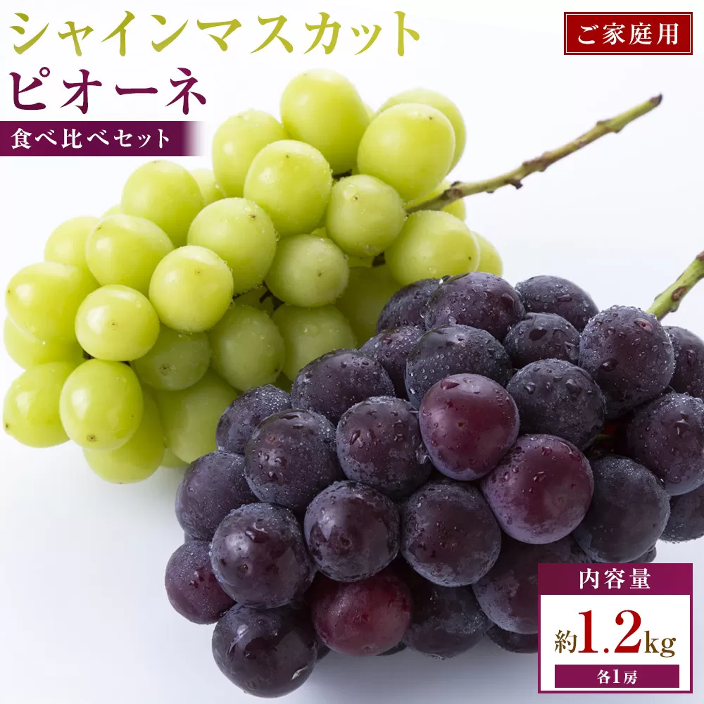 【2026年8月13日~2026年10月17日配送】ご家庭用 シャインマスカット+ピオーネ食べ比べセット 約1.2kg(各1房)